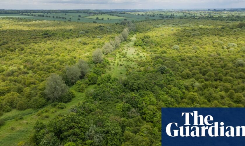 ‘A special place’: Guardian readers’ generosity helps to save rewilded farm