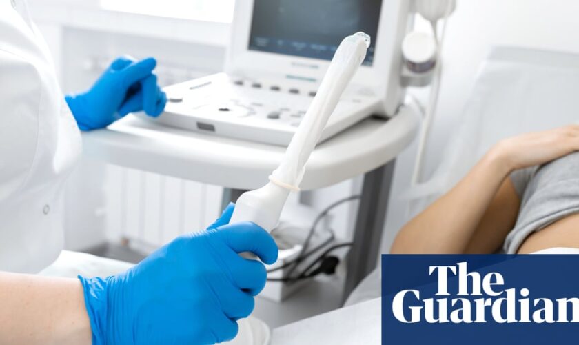 ‘Medical misogyny’ condemns women to years of gynaecological pain, MPs told