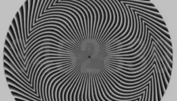 Mind-bending optical illusion has hidden message - but not everyone can read it