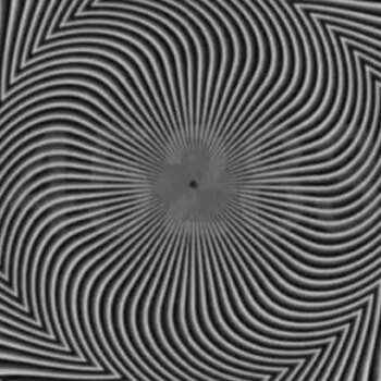 Mind-bending optical illusion has hidden message – but not everyone can read it