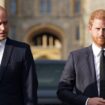 Prince Harry and  William’s relationship tipped to be ‘mended’  by one member of Royal Family