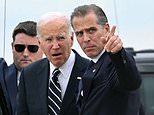 Biden slammed by his own party after shock U-turn decision to pardon son Hunter: 'Put his family ahead of the country'