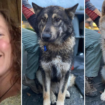 Estranged husband arrested for murder after missing hiker found dead along with dogs: ‘Afraid for her life'