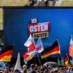 AfD: Die Bundesregierung sollte ein AfD-Verbot beantragen - Kommentar