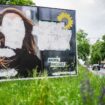 Wahlplakate - wie hier eines der Grünen zur Europawahl - wurden 2024 häufig beschädigt. (Archivbild) Foto: Michael Kappeler/dpa