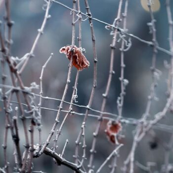 Wetter: Nebel, Schnee und Glatteisgefahr in Bayern