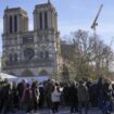 Un important dispositif policier mis en place pour la réouverture de Notre-Dame