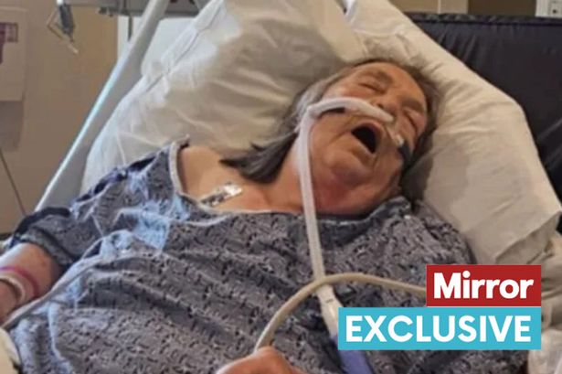 Brit gran fighting for life after getting Covid on holiday she planned for two years