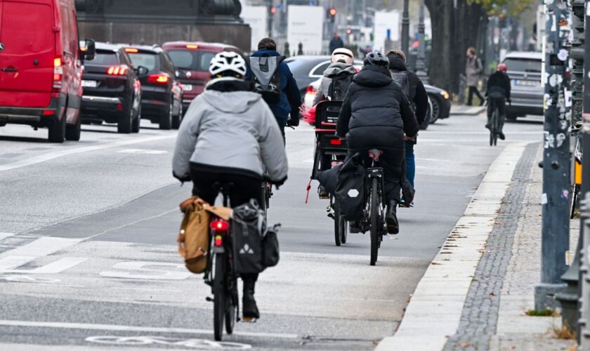 Das Land will ein Leasingangebot für normale Räder und E-Bikes einführen. (Symbolbild) Foto: Jens Kalaene/dpa