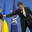 F.A.Z. Frühdenker: NATO-Minister beraten über Militärhilfe für die Ukraine