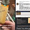 Olive Garden diner finds serial number printed on her breadsticks — and gets paid for the snafu