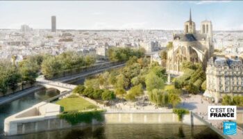 Notre-Dame : pilier d’un quartier de Paris en pleine mutation