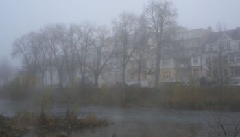 Bis zum Wochenende erwartet die Menschen in Rheinland-Pfalz und im Saarland ungemütliches Winterwetter. (Symbolbild) Foto: Thoma