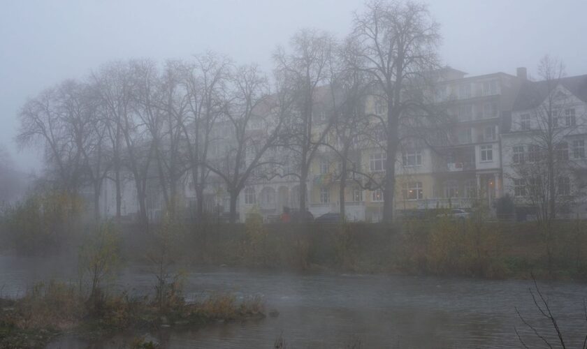 Bis zum Wochenende erwartet die Menschen in Rheinland-Pfalz und im Saarland ungemütliches Winterwetter. (Symbolbild) Foto: Thoma