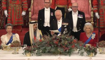 King hosts Emir of Qatar at state banquet - with Beckhams among the famous faces in attendance