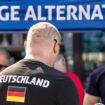 Junge Alternative in der Kritik: Zu radikal? AfD-Spitze plant neue Jugendorganisation