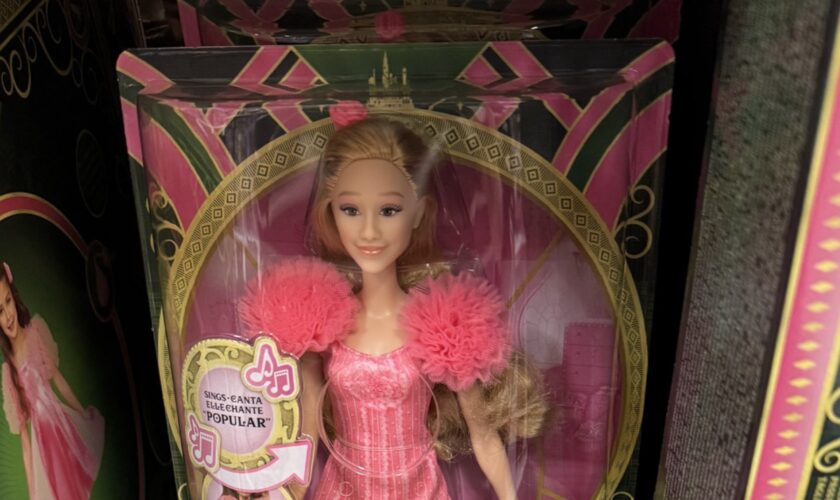 Mattel sued for misprinting porn site link on Wicked Barbie doll packaging