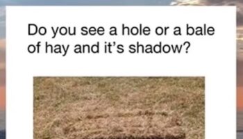 Baffling optical illusion keeps driving people mad as they can't agree on what it is