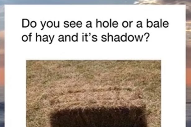 Baffling optical illusion keeps driving people mad as they can't agree on what it is