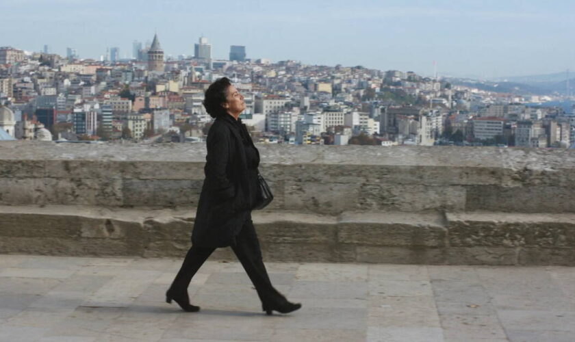 «Crossing Istanbul» de Levan Akin, traversée du désert