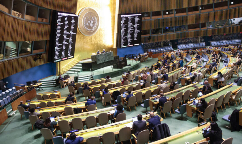 En direct : l'Assemblée générale de l'ONU défend la création d'un État palestinien