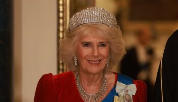 Queen Camilla's 488-diamond 'Kokoshnik' tiara and the 365 women who paid for it