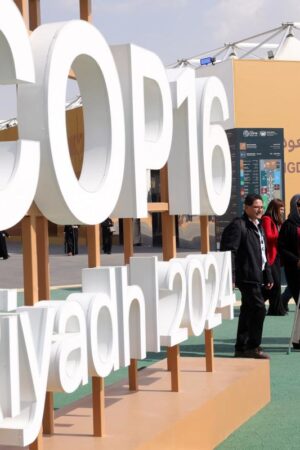 COP16 : les sécheresses coûtent près de 300 milliards d’euros par an, alerte l’ONU