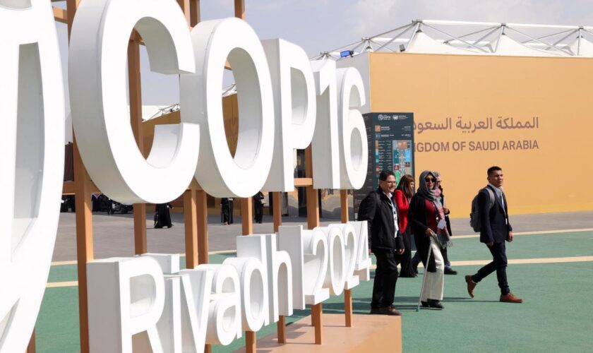 COP16 : les sécheresses coûtent près de 300 milliards d’euros par an, alerte l’ONU