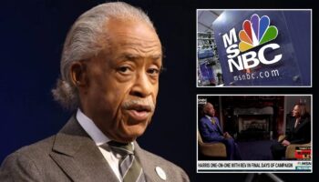 Al Sharpton's interview scandal becomes latest in decades-long history of controversies haunting MSNBC host