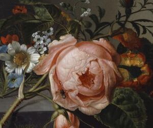 Kunstausstellung: Erste große Retrospektive der niederländischen Stilllebenmalerin Rachel Ruysch in der Alten Pinakothek München