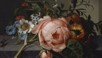 Kunstausstellung: Erste große Retrospektive der niederländischen Stilllebenmalerin Rachel Ruysch in der Alten Pinakothek München