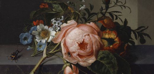 Kunstausstellung: Erste große Retrospektive der niederländischen Stilllebenmalerin Rachel Ruysch in der Alten Pinakothek München