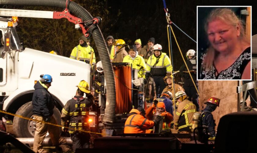 Desperate search for grandmother missing in sinkhole in hunt for lost cat becomes recovery mission