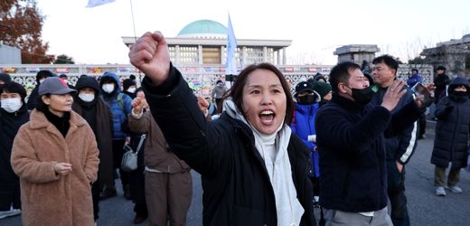 Südkorea und das Kriegsrecht: Wie Menschen auf der Straße den Staatsstreich stoppten