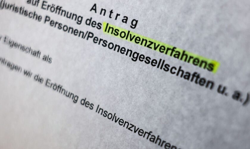 Vor allem bei den Privatpersonen ist die Zahl der Insolvenzen stark gestiegen. (Archivbild) Foto: Oliver Berg/dpa