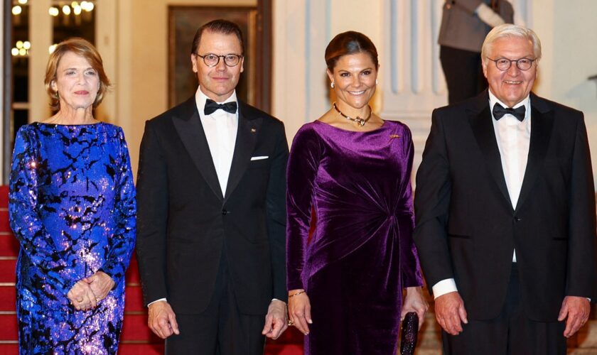 Masked man arrested outside Swedish royal family residence with knife, handcuffs, tape: reports