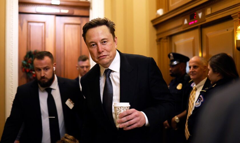 'We're going to gut the fish': Republicans give details from closed-door meetings with DOGE's Musk, Ramaswamy