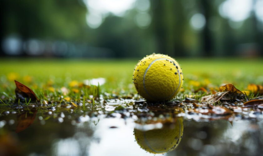 Voici pourquoi certains laissent une balle de tennis l'hiver dans leur jardin - une astuce méconnue, mais très utile