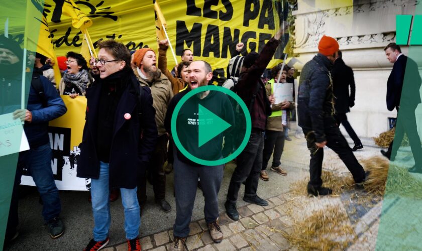 À Paris devant le Grand Palais, l’action choc de la Confédération paysanne contre les géants du commerce des céréales