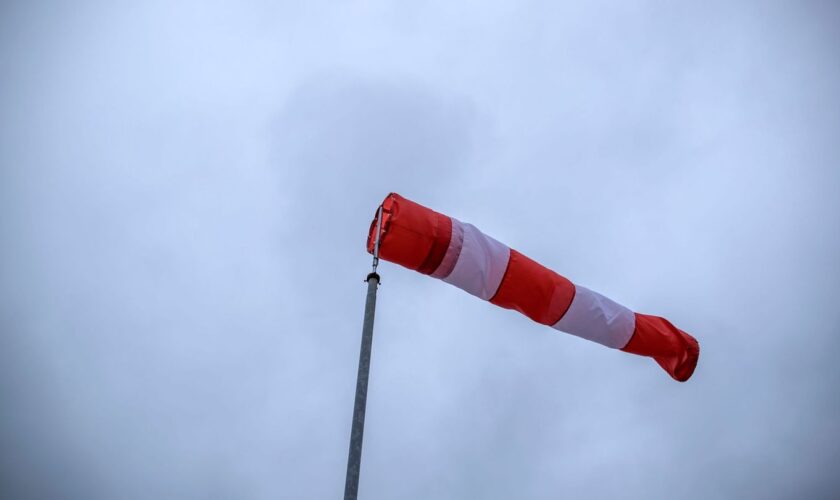 Starke bis stürmische Böen wehen heute in Hessen (Symbolbild). Foto: picture alliance / Jens Büttner/dpa-Zentralbild/ZB