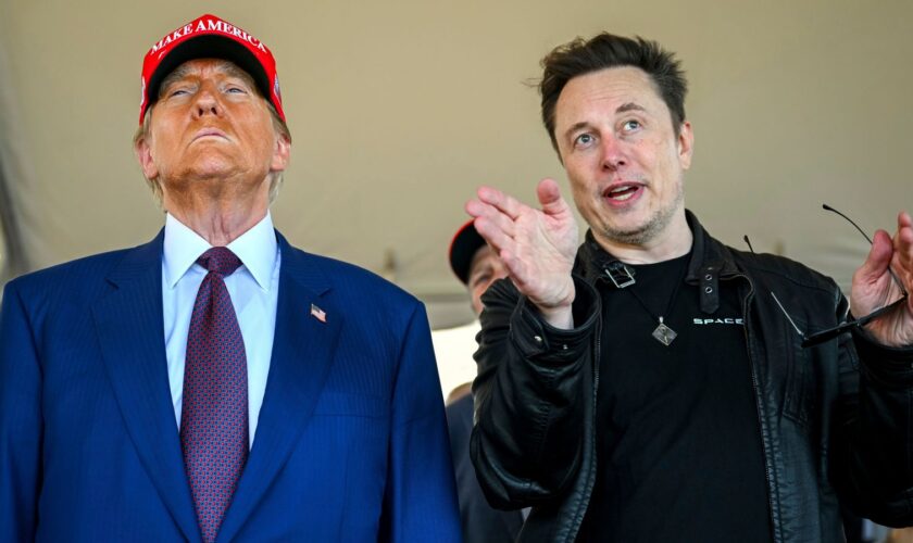 Musk spent more than quarter of a billion dollars helping Trump win US election