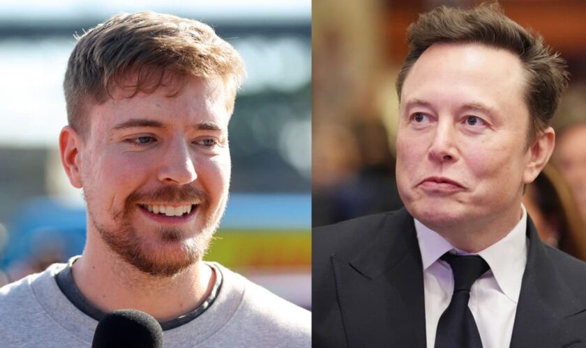 MrBeast says Elon Musk had an ‘interesting’ one word response when they first met