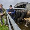 The 're-engineering of the cow' that's sparked a new eco-war: There's even more Bovaer in the food chain than anyone realised...and it has sparked an epic battle among shoppers and farmers