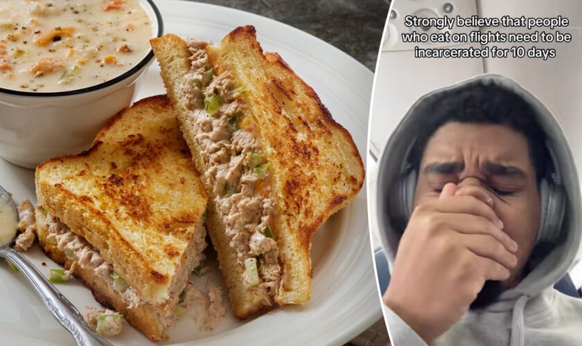 Tuna melt 'stinking up' plane prompts fellow passenger's viral video