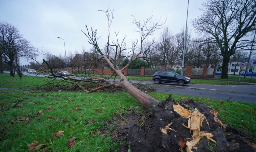 Storm Darragh live: Millions told to stay inside as rare red weather warning disrupts travel and sports events