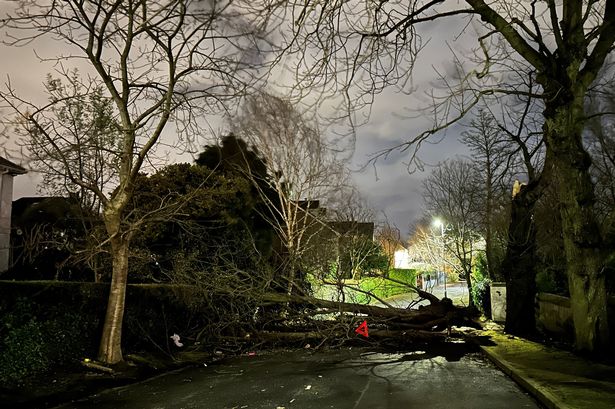 Storm Darragh: Full list of train and plane cancellations as roads shut amid travel chaos