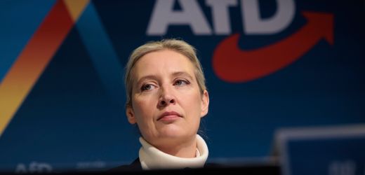 Alice Weidel zur Kanzlerkandidatin der AfD gekürt