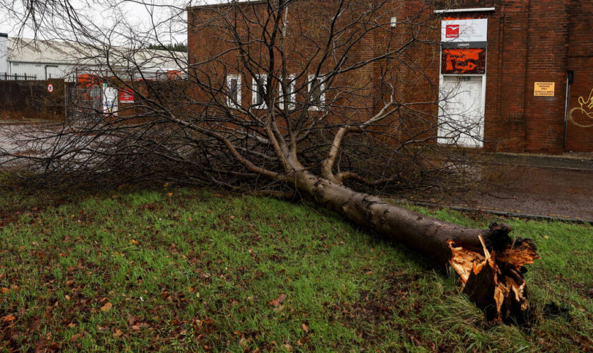 Tempête Darragh : quinze départements français placés en vigilance orange, le Royaume-Uni particulièrement touché