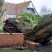 Storm Darragh claims second death as Birmingham man crushed in car by falling tree