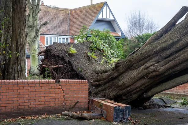 Storm Darragh claims second death as Birmingham man crushed in car by falling tree